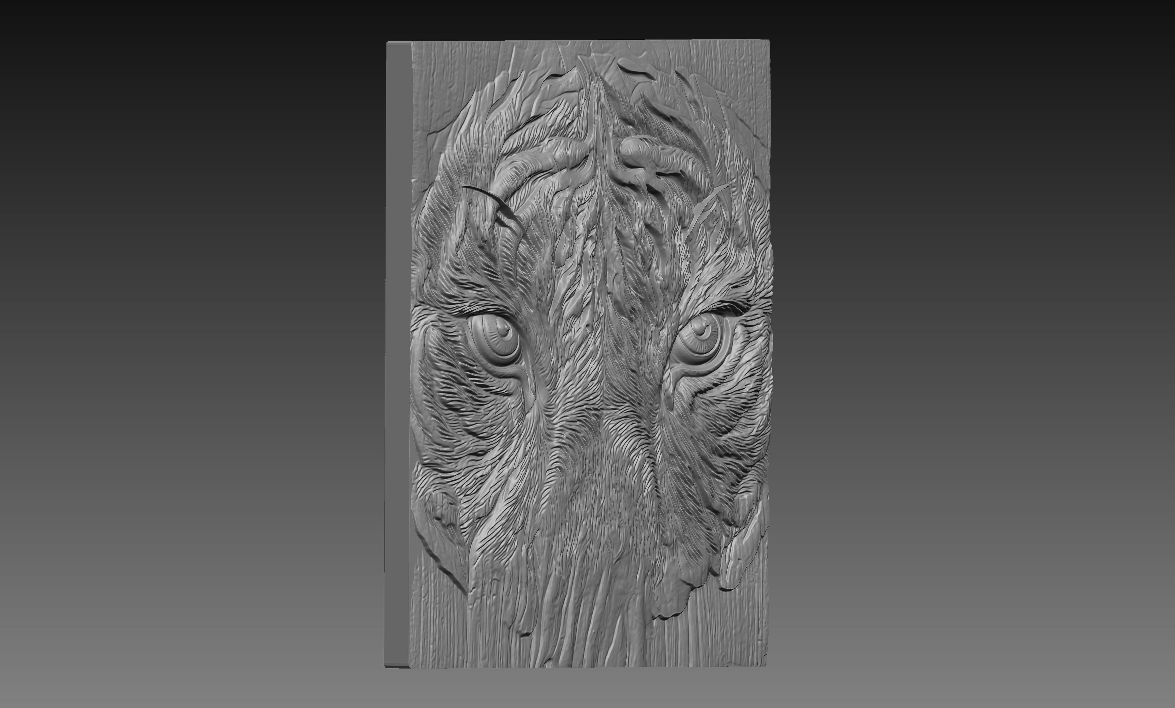 Tiger Eyes Close Up 3D Relief STL File, Jungle Animal Wildlife CNC Carving Digital Download
