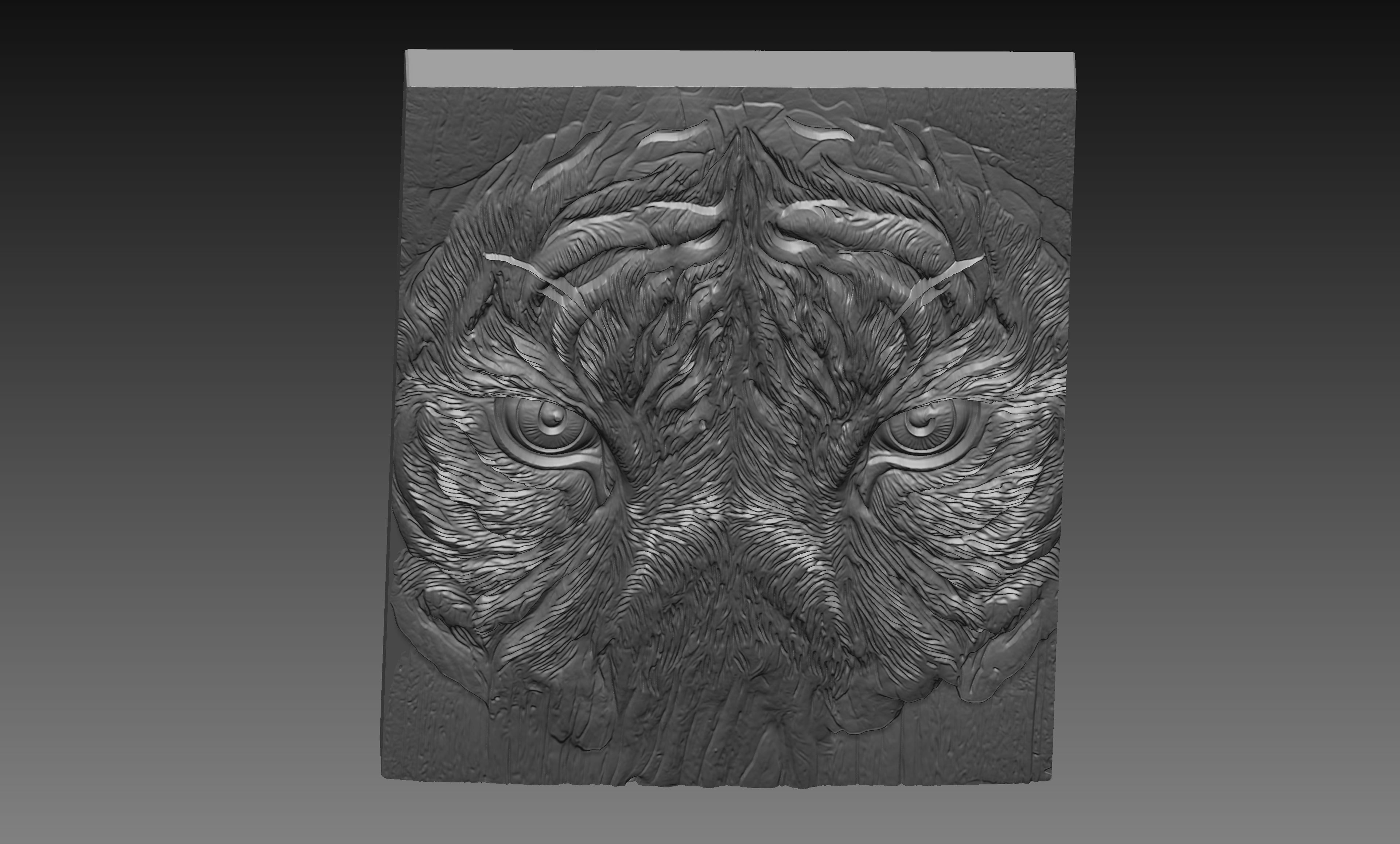 Tiger Eyes Close Up 3D Relief STL File, Jungle Animal Wildlife CNC Carving Digital Download